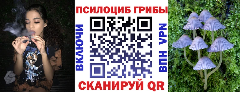 Псилоцибиновые грибы Psilocybe  наркота  Грайворон 